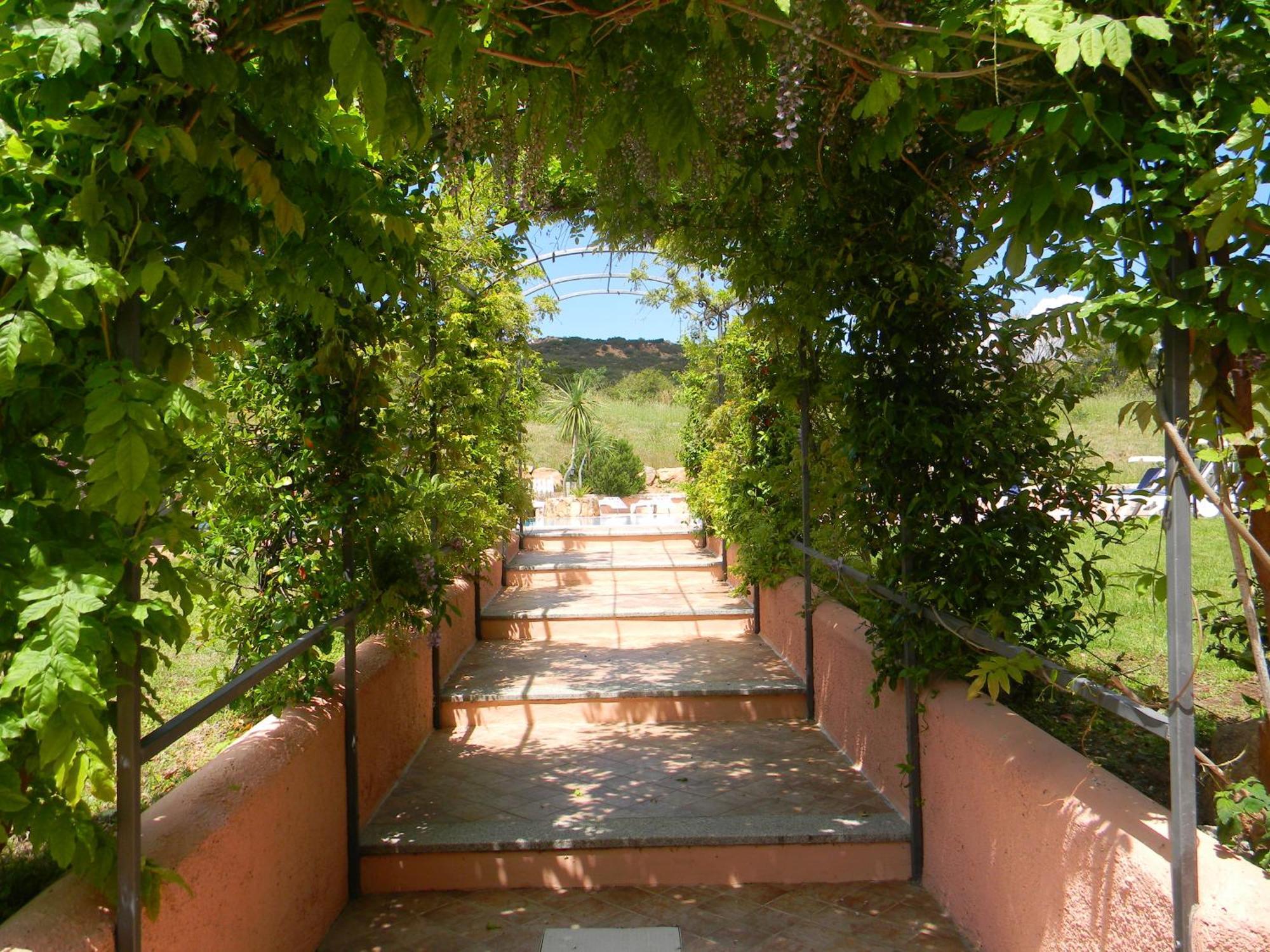 Relais Fenicottero Rosa Pensionat Porto Taverna Eksteriør billede
