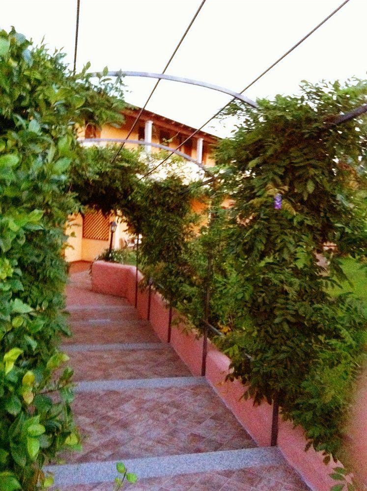Relais Fenicottero Rosa Pensionat Porto Taverna Eksteriør billede