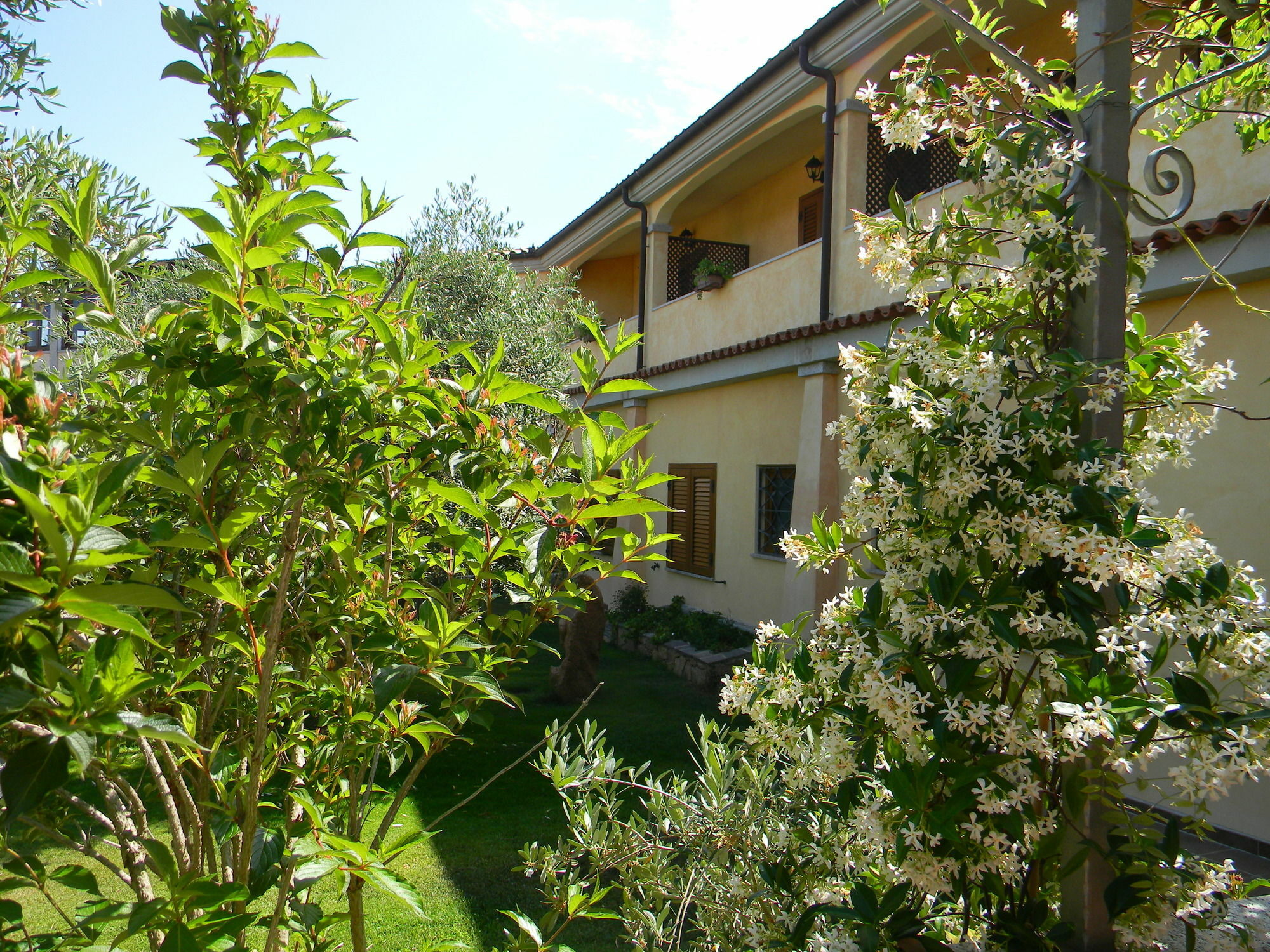 Relais Fenicottero Rosa Pensionat Porto Taverna Eksteriør billede